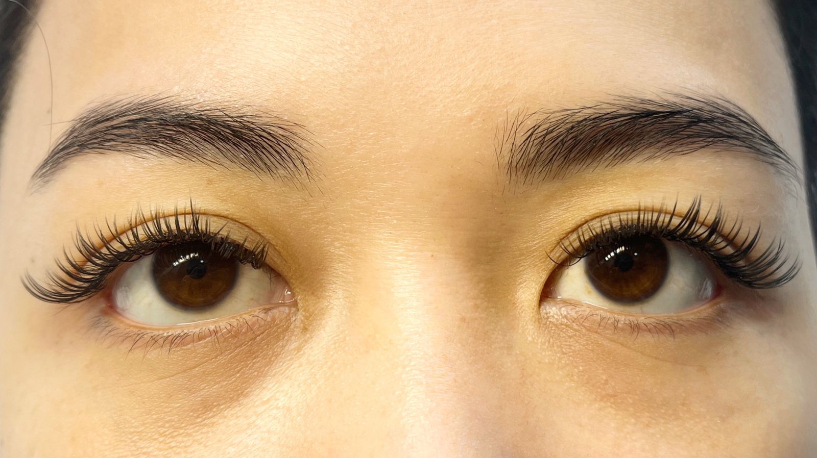 Eyelash Natural Eyelash Natural